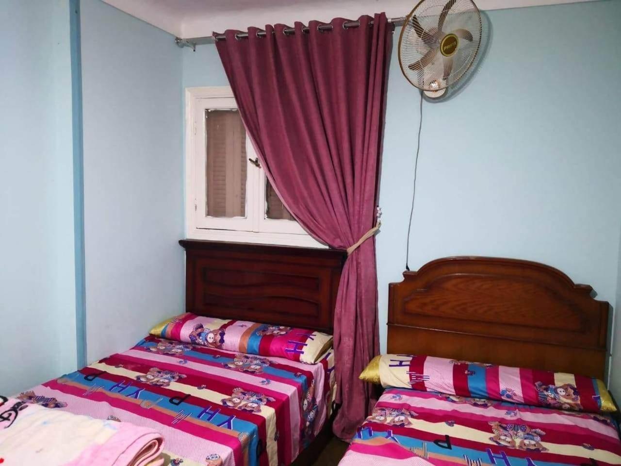 قريبة من بحر الاسكندرية
